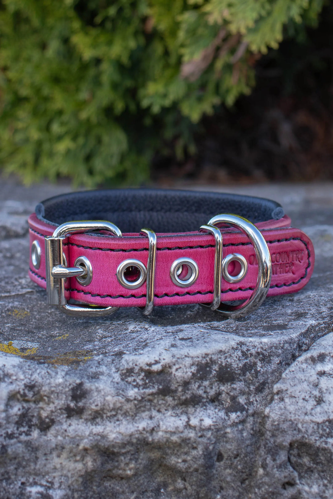 Artisan Series - Deluxe 1 inch wide Collar with Metal Font.