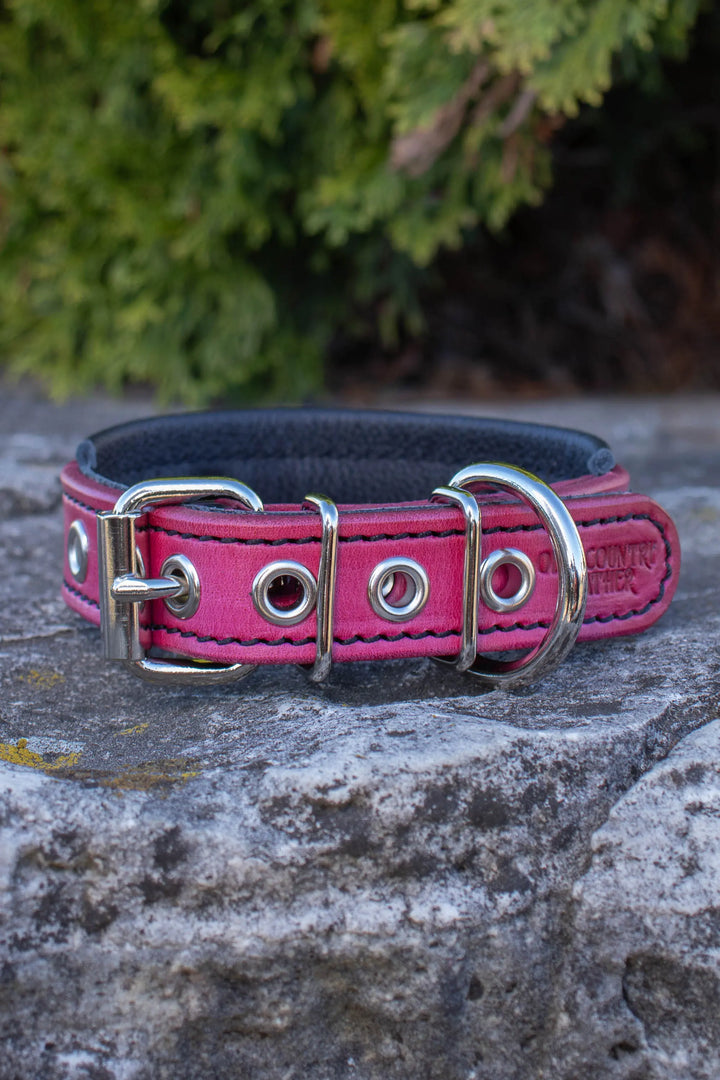 Artisan Series - Deluxe 1 inch wide Collar with Metal Font.