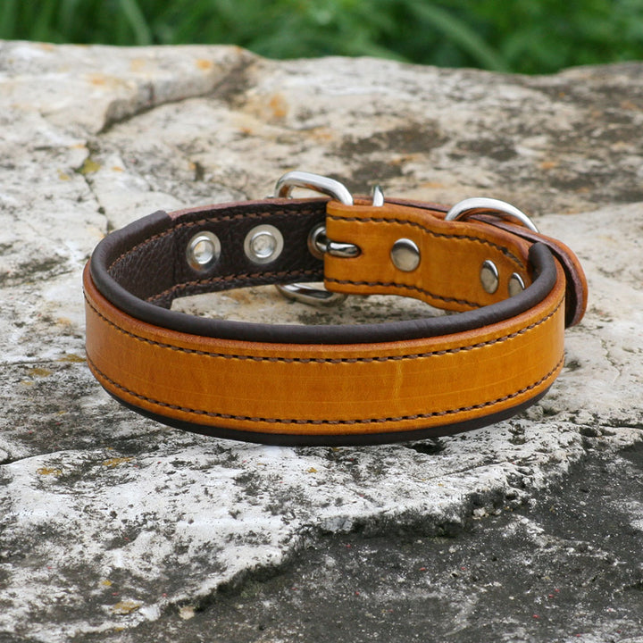 Artisan Series - Deluxe 1 inch wide Collar with No Font.
