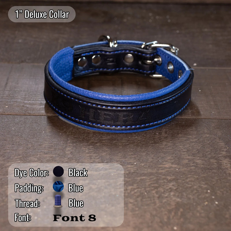 Black collar with subtle name etch on blue thread and blue padding.