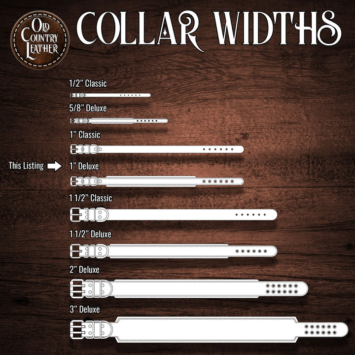 Traditional Series - Deluxe 1 inch wide Collar.
