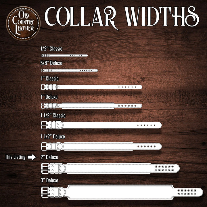 Traditional Series - Deluxe 2 inch wide Collar.