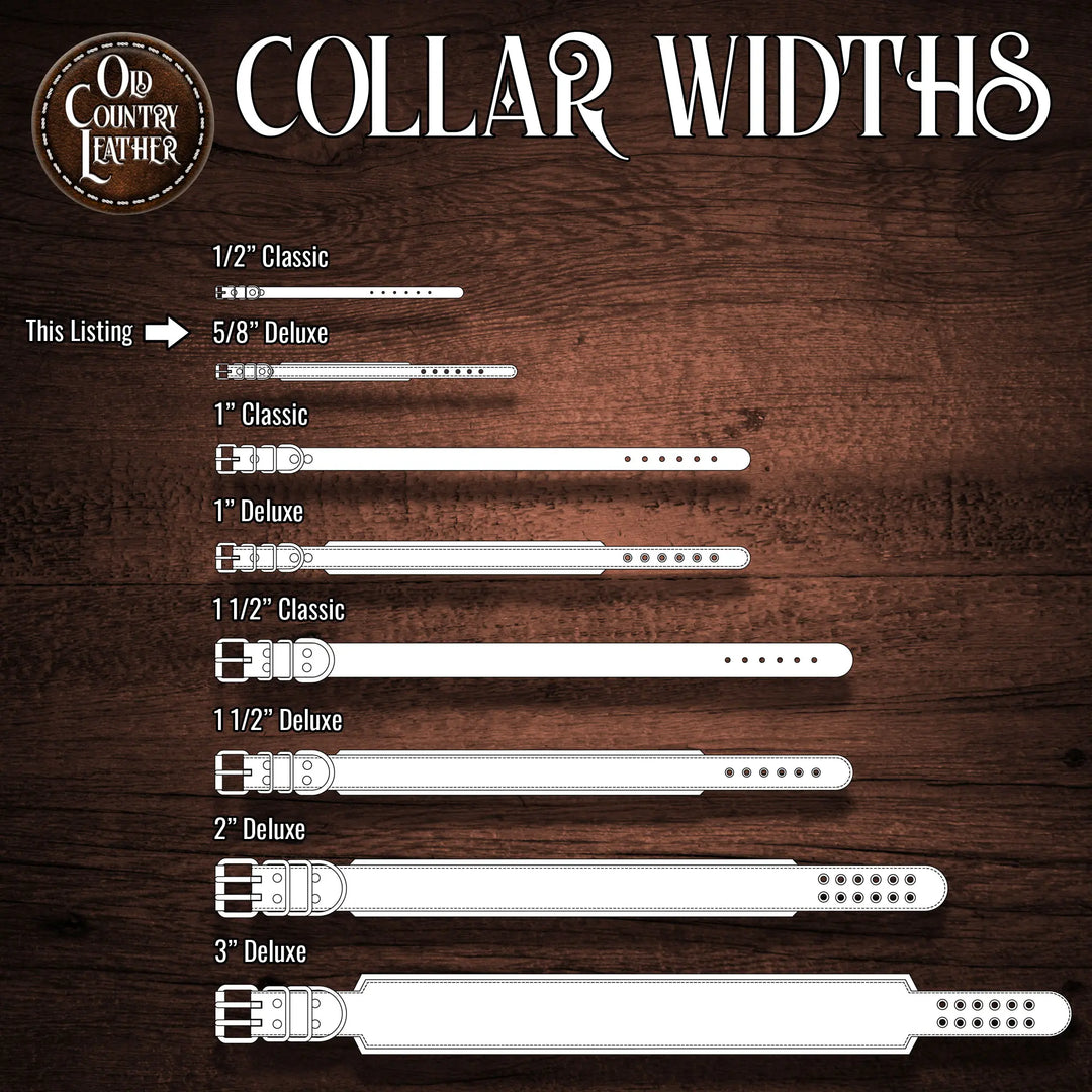 Traditional Series - Deluxe 5/8 inch wide Collar
